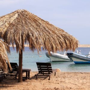 Ogród koralowy Sharm el Naga